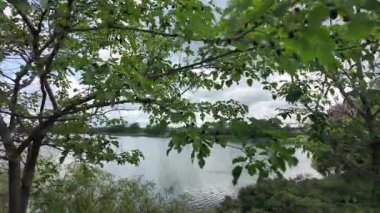 Nehrin kıyısına yürü. Göl kıyısı. Nehir kıyısında. Çimenler ve ağaçlar gölün kıyısında yetişir. Söğütlerin dalları suyun üzerinde uzanıyor. Uzak sahilde apartmanlar var..