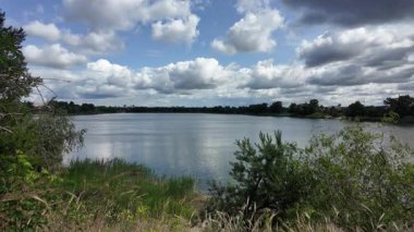 Nehrin kıyısına yürü. Göl kıyısı. Nehir kıyısında. Çimenler ve ağaçlar gölün kıyısında yetişir. Söğütlerin dalları suyun üzerinde uzanıyor. Uzak sahilde apartmanlar var..