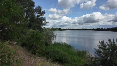 Nehrin kıyısına yürü. Göl kıyısı. Nehir kıyısında. Çimenler ve ağaçlar gölün kıyısında yetişir. Söğütlerin dalları suyun üzerinde uzanıyor. Uzak sahilde apartmanlar var..