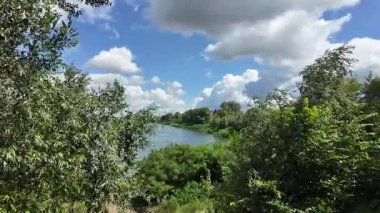 Doğa yürüyüşü. Güneşli güzel bir sabahta tasasız ve rahatlatıcı bir an. Çıplak ayakla çayırda volta atan bir kadın. Doğada seyahat eden biri. 4k video