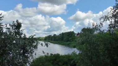 Doğa yürüyüşü. Güneşli güzel bir sabahta tasasız ve rahatlatıcı bir an. Çıplak ayakla çayırda volta atan bir kadın. Doğada seyahat eden biri. 4k video