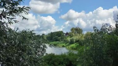 Doğa yürüyüşü. Güneşli güzel bir sabahta tasasız ve rahatlatıcı bir an. Çıplak ayakla çayırda volta atan bir kadın. Doğada seyahat eden biri. 4k video