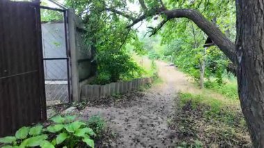 Doğa yürüyüşü. Güneşli güzel bir sabahta tasasız ve rahatlatıcı bir an. Çıplak ayakla çayırda volta atan bir kadın. Doğada seyahat eden biri. 4k video