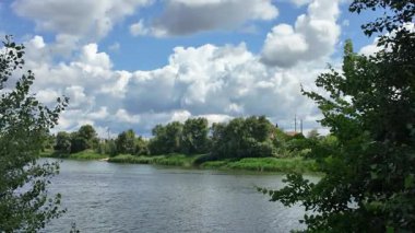 Doğa yürüyüşü. Güneşli güzel bir sabahta tasasız ve rahatlatıcı bir an. Çıplak ayakla çayırda volta atan bir kadın. Doğada seyahat eden biri. 4k video