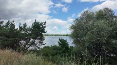 Doğa yürüyüşü. Güneşli güzel bir sabahta tasasız ve rahatlatıcı bir an. Çıplak ayakla çayırda volta atan bir kadın. Doğada seyahat eden biri. 4k video