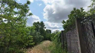 Doğa yürüyüşü. Güneşli güzel bir sabahta tasasız ve rahatlatıcı bir an. Çıplak ayakla çayırda volta atan bir kadın. Doğada seyahat eden biri. 4k video