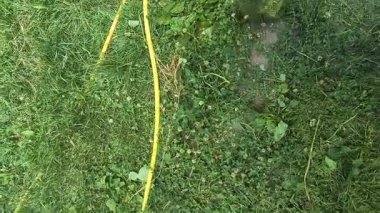 Bahçıvan uzun yeşil çimenleri biçer, erkeksi elleri tutar, çim biçme makinesi, farklı yönlerde uçan yabani otlar, yakın plan