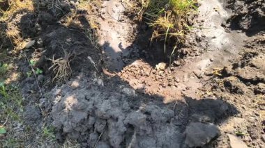 Kuru toprak. Çatlak kara toprak. Kuru yaz. Yetersiz toprak nemi. Toprakta nem eksikliği. Kuru çatlak kara zemini, dönüyor, dönüyor, üst manzara