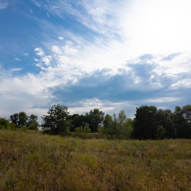 Manzara çam ormanı ve güzel gökyüzü. Tarla ve orman. Gökyüzündeki bulutlar bir çam ormanının arka planına karşı. Doğal manzara..