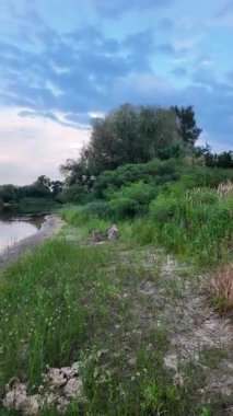 Çok güzel bir gün batımı ve su. Yaz akşamı manzarası. Sudaki bulutların yansıması. Güneş ufukta batıyor. Göllü yaz manzarası. Sudaki ağaçların yansıması. Nehirde gün doğumu. şehvetli bulutlar.