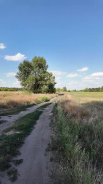 Uzun, dar toprak yol örneği. Yol manzarası çok güzel. Yaz Toprak Yolu. Uzağa giden bir yol. Ukrayna manzarası.