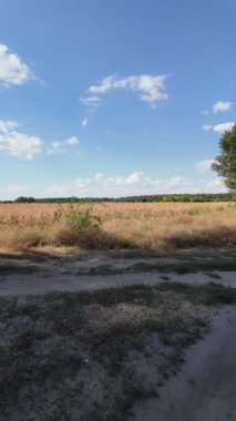 Uzun, dar toprak yol örneği. Yol manzarası çok güzel. Yaz Toprak Yolu. Uzağa giden bir yol. Ukrayna manzarası.