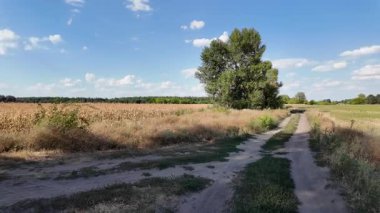 Uzun, dar toprak yol örneği. Yol manzarası çok güzel. Yaz Toprak Yolu. Uzağa giden bir yol. Ukrayna manzarası.