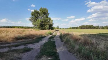 Uzun, dar toprak yol örneği. Yol manzarası çok güzel. Yaz Toprak Yolu. Uzağa giden bir yol. Ukrayna manzarası.