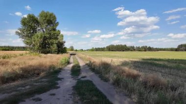 Uzun, dar toprak yol örneği. Yol manzarası çok güzel. Yaz Toprak Yolu. Uzağa giden bir yol. Ukrayna manzarası.
