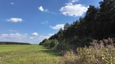 Bulutlu bir gökyüzünün altında güzel yeşil çayır, kırsal tarım manzarası, hızlandırılmış zaman manzarası. Ukrayna manzarası. Ukrayna. yüksek kaliteli üst görüntü.