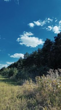 Bulutlu bir gökyüzünün altında güzel yeşil çayır, kırsal tarım manzarası, hızlandırılmış zaman manzarası. Ukrayna manzarası. Ukrayna. yüksek kaliteli üst görüntü.