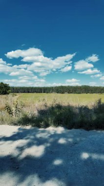 Bulutlu bir gökyüzünün altında güzel yeşil çayır, kırsal tarım manzarası, hızlandırılmış zaman manzarası. Ukrayna manzarası. Ukrayna. yüksek kaliteli üst görüntü.