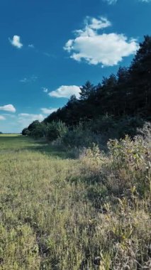 Bulutlu bir gökyüzünün altında güzel yeşil çayır, kırsal tarım manzarası, hızlandırılmış zaman manzarası. Ukrayna manzarası. Ukrayna. yüksek kaliteli üst görüntü.