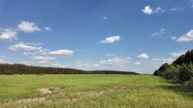 Bulutlu bir gökyüzünün altında güzel yeşil çayır, kırsal tarım manzarası, hızlandırılmış zaman manzarası. Ukrayna manzarası. Ukrayna. yüksek kaliteli üst görüntü.