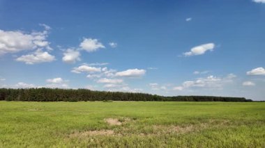 Bulutlu bir gökyüzünün altında güzel yeşil çayır, kırsal tarım manzarası, hızlandırılmış zaman manzarası. Ukrayna manzarası. Ukrayna. yüksek kaliteli üst görüntü.