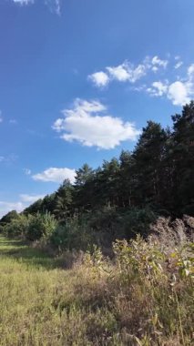 Bulutlu bir gökyüzünün altında güzel yeşil çayır, kırsal tarım manzarası, hızlandırılmış zaman manzarası. Ukrayna manzarası. Ukrayna. yüksek kaliteli üst görüntü.