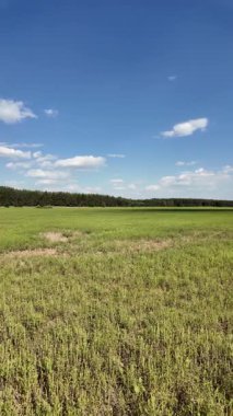 Bulutlu bir gökyüzünün altında güzel yeşil çayır, kırsal tarım manzarası, hızlandırılmış zaman manzarası. Ukrayna manzarası. Ukrayna. yüksek kaliteli üst görüntü.