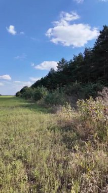Bulutlu bir gökyüzünün altında güzel yeşil çayır, kırsal tarım manzarası, hızlandırılmış zaman manzarası. Ukrayna manzarası. Ukrayna. yüksek kaliteli üst görüntü.