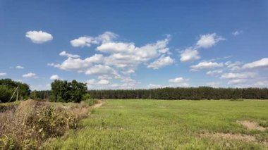 Bulutlu bir gökyüzünün altında güzel yeşil çayır, kırsal tarım manzarası, hızlandırılmış zaman manzarası. Ukrayna manzarası. Ukrayna. yüksek kaliteli üst görüntü.