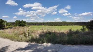 Bulutlu bir gökyüzünün altında güzel yeşil çayır, kırsal tarım manzarası, hızlandırılmış zaman manzarası. Ukrayna manzarası. Ukrayna. yüksek kaliteli üst görüntü.