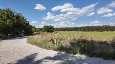 Bulutlu bir gökyüzünün altında güzel yeşil çayır, kırsal tarım manzarası, hızlandırılmış zaman manzarası. Ukrayna manzarası. Ukrayna. yüksek kaliteli üst görüntü.
