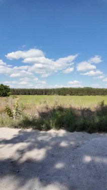 Bulutlu bir gökyüzünün altında güzel yeşil çayır, kırsal tarım manzarası, hızlandırılmış zaman manzarası. Ukrayna manzarası. Ukrayna. yüksek kaliteli üst görüntü.