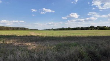 Bulutlu bir gökyüzünün altında güzel yeşil çayır, kırsal tarım manzarası, hızlandırılmış zaman manzarası. Ukrayna manzarası. Ukrayna. yüksek kaliteli üst görüntü.