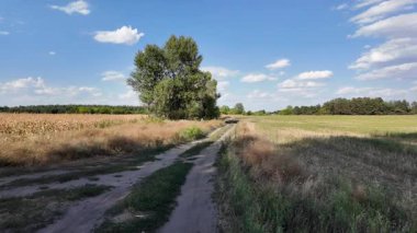 Bulutlu bir gökyüzünün altında güzel yeşil çayır, kırsal tarım manzarası, hızlandırılmış zaman manzarası. Ukrayna manzarası. Ukrayna. yüksek kaliteli üst görüntü.