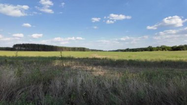Bulutlu bir gökyüzünün altında güzel yeşil çayır, kırsal tarım manzarası, hızlandırılmış zaman manzarası. Ukrayna manzarası. Ukrayna. yüksek kaliteli üst görüntü.