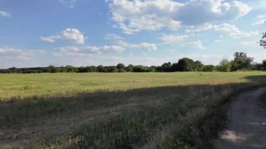 Bulutlu bir gökyüzünün altında güzel yeşil çayır, kırsal tarım manzarası, hızlandırılmış zaman manzarası. Ukrayna manzarası. Ukrayna. yüksek kaliteli üst görüntü.