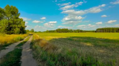 Bulutlu bir gökyüzünün altında güzel yeşil çayır, kırsal tarım manzarası, hızlandırılmış zaman manzarası. Ukrayna manzarası. Ukrayna. yüksek kaliteli üst görüntü.