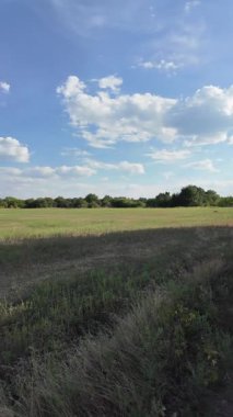 Bulutlu bir gökyüzünün altında güzel yeşil çayır, kırsal tarım manzarası, hızlandırılmış zaman manzarası. Ukrayna manzarası. Ukrayna. yüksek kaliteli üst görüntü.