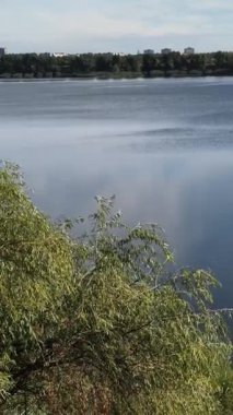 Gölün kenarında dikey video 4k. Nehir uçurumu. Mavi gökyüzü ve nehirdeki güzel su. Göl kenarında yürüyüş. Nehrin kıyısına yürü. Ukrayna.