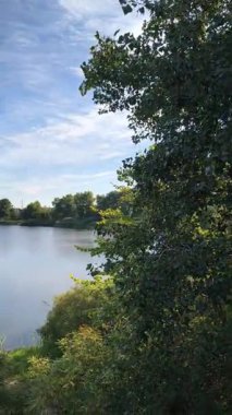 Gölün kenarında dikey video 4k. Nehir uçurumu. Mavi gökyüzü ve nehirdeki güzel su. Göl kenarında yürüyüş. Nehrin kıyısına yürü. Ukrayna.