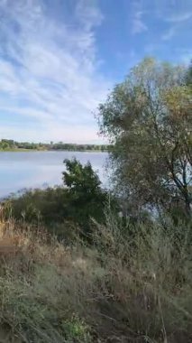 Gölün kenarında dikey video 4k. Nehir uçurumu. Mavi gökyüzü ve nehirdeki güzel su. Göl kenarında yürüyüş. Nehrin kıyısına yürü. Ukrayna.