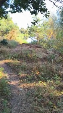 Gölün kenarında dikey video 4k. Nehir uçurumu. Mavi gökyüzü ve nehirdeki güzel su. Göl kenarında yürüyüş. Nehrin kıyısına yürü. Ukrayna.