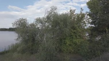 Su kıyısındaki doğal manzara. Göl kıyısı. Sudaki bulutların yansıması. Nehirle akşam manzarası. Denize doğru yürü. Su yüzeyi. Ukrayna. Düz renk profilli 4k video. D-Günlük M.