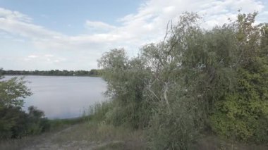 Su kıyısındaki doğal manzara. Göl kıyısı. Sudaki bulutların yansıması. Nehirle akşam manzarası. Denize doğru yürü. Su yüzeyi. Ukrayna. Düz renk profilli 4k video. D-Günlük M.