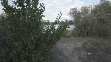 Su kıyısındaki doğal manzara. Göl kıyısı. Sudaki bulutların yansıması. Nehirle akşam manzarası. Denize doğru yürü. Su yüzeyi. Ukrayna. Düz renk profilli 4k video. D-Günlük M.