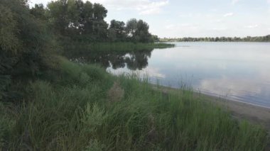 Su kıyısındaki doğal manzara. Göl kıyısı. Sudaki bulutların yansıması. Nehirle akşam manzarası. Denize doğru yürü. Su yüzeyi. Ukrayna. Düz renk profilli 4k video. D-Günlük M.