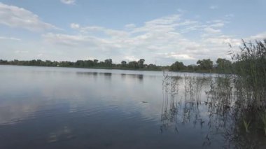 Kumda ayak izleri. Kumda su ve parmak izleri var. Kadın bacakları ya da erkek bebek, çocuk, çocuk, çıplak ayak kumsalda. Kız denize ya da okyanusa karşı dinleniyor. Su dalgaları merdivenleri yıkıyor ya da kalp şeklinde..