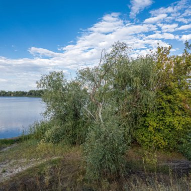 Göldeki suyun yavaş çekim videosu. Dalgalar yavaş çekimde köpük saçıyor. Sıcak gün batımının yüzeydeki yansımaları ile çekilen sakin su hareketi.