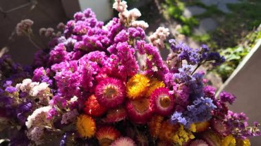 Parlak sonbahar çiçekleri. Kurumuş çiçekler. Duvarda kurumuş çiçek aranjmanı ve oda dekorunda zemin. Çiçeklerin arka planı değişiyor. Saha kurumuş iç organ.