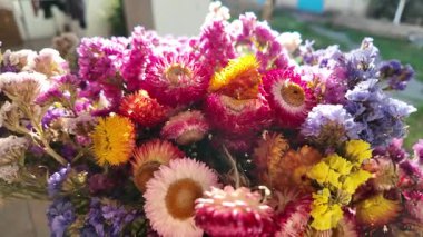 Parlak sonbahar çiçekleri. Kurumuş çiçekler. Duvarda kurumuş çiçek aranjmanı ve oda dekorunda zemin. Çiçeklerin arka planı değişiyor. Saha kurumuş iç organ.